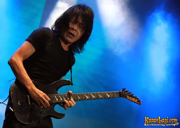 java rockin land 2011