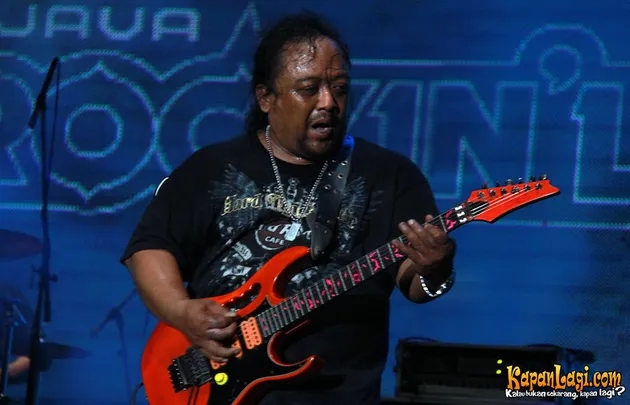 java rockin land 2011