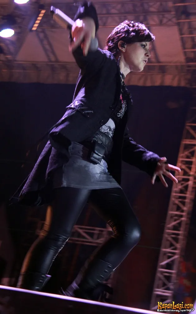 java rockin land 2011