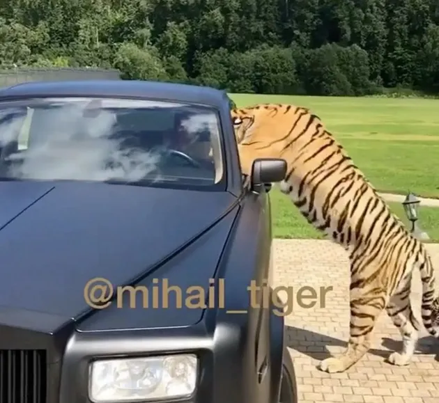 anak orang kaya, anak-anak orang kaya, kelakuan anak-anak orang kaya