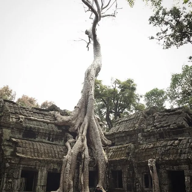 Keliling dunia bareng Nicholas Saputra