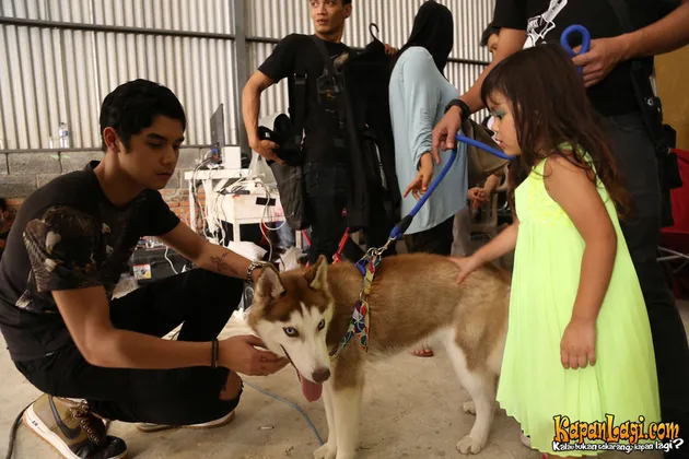 Safeea, Al Ghazali dan Ahmad Dhani 