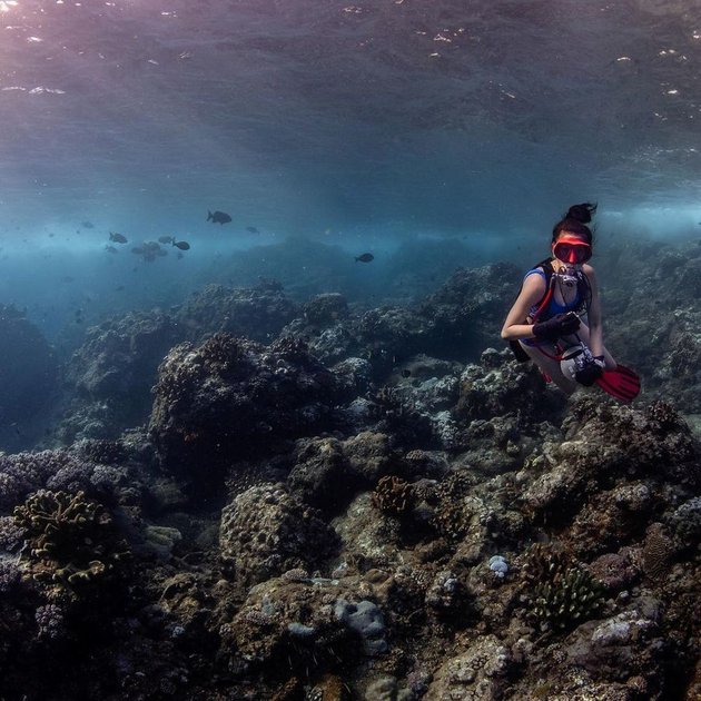 Frequently Explore Beautiful Nature Spots, Take a Peek at 8 Photos of Kirana Larasati Diving with Fish and Coral Reefs - Enjoy the Enchanting Beauty of the Sea Floor