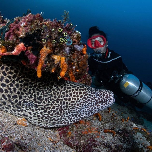 Frequently Explore Beautiful Nature Spots, Take a Peek at 8 Photos of Kirana Larasati Diving with Fish and Coral Reefs - Enjoy the Enchanting Beauty of the Sea Floor