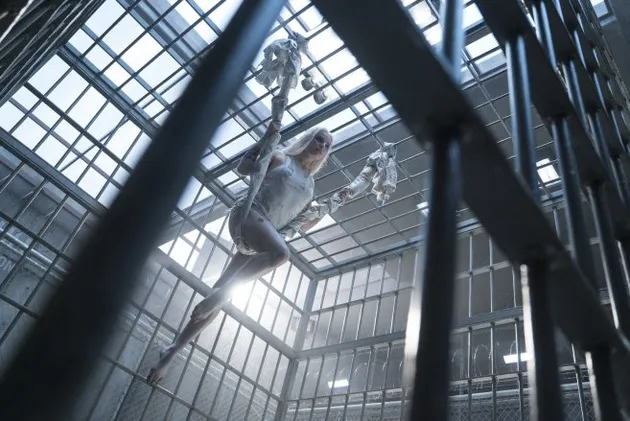 suicide squad, foto suicide squad, film suicide squad, download suicide squad