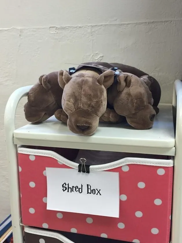 Ruang Kelas Ala Harry Potter