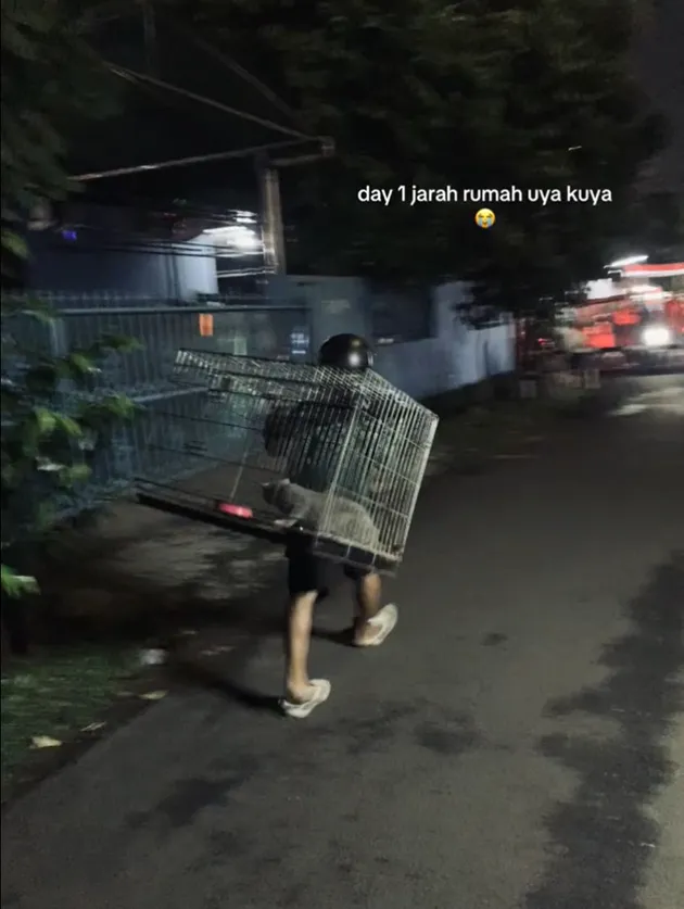 <nil>