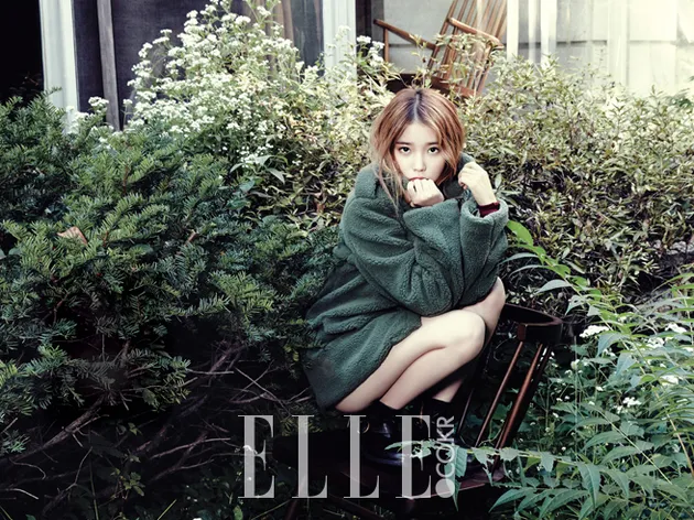 Skandal &amp; Kontroversi IU