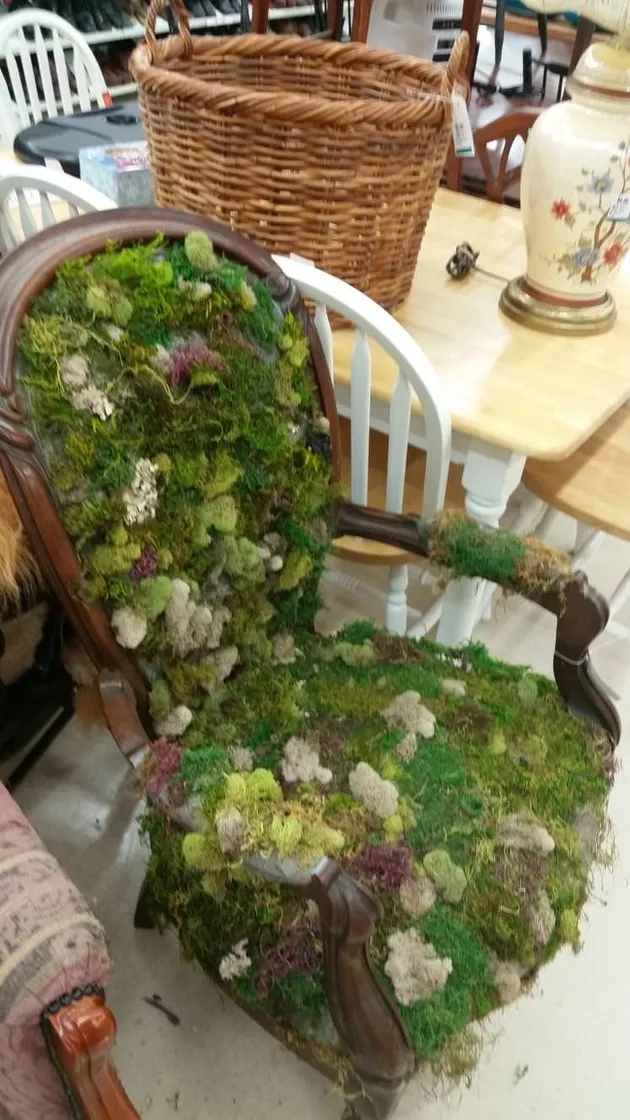 foto unik, foto aneh, foto lucu, foto keren