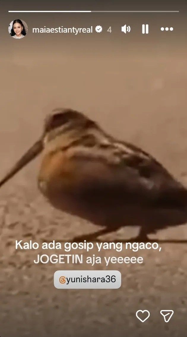 IG story Maia Estianty