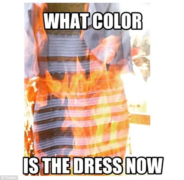 KUMPULAN MEME GAUN BIRU-HITAM KONYOL, SIAP KETAWA MAKSIMAL 