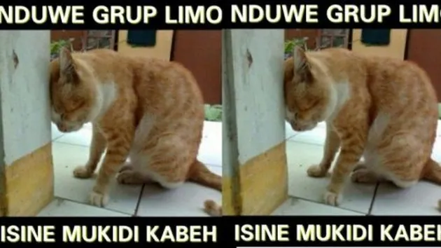 meme mukidi, mukidi, siapa mukidi