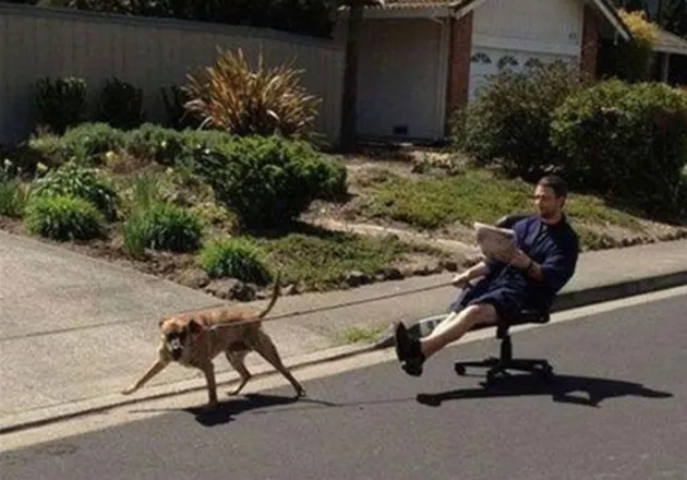 pemalas, foto pemalas, pemalas kreatif, foto unik, foto aneh, foto lucu