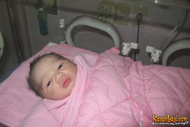 Selebritis Melahirkan