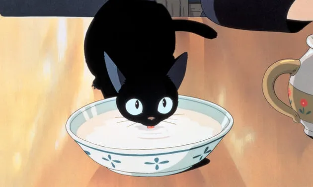 animasi
