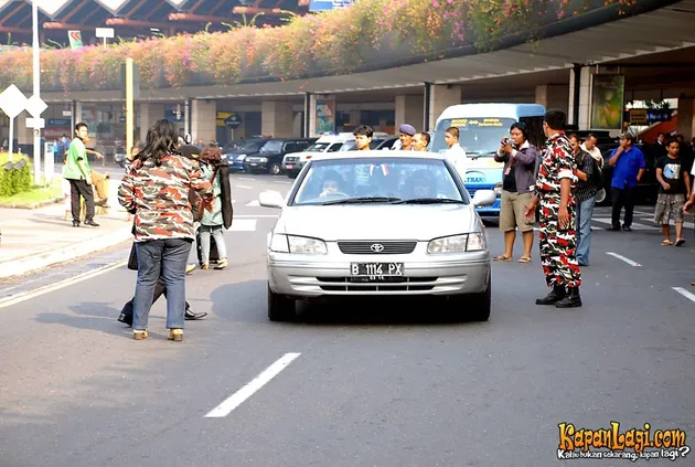 manohara odelia pinot