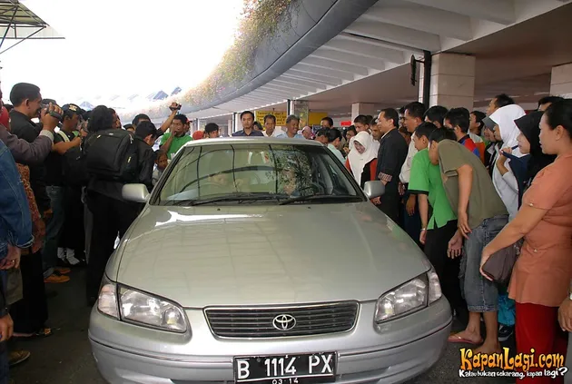 manohara odelia pinot