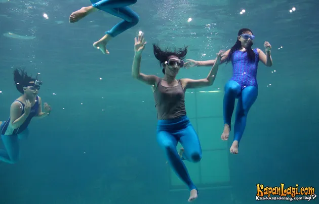 Kevin, Princess, Widy Vierra