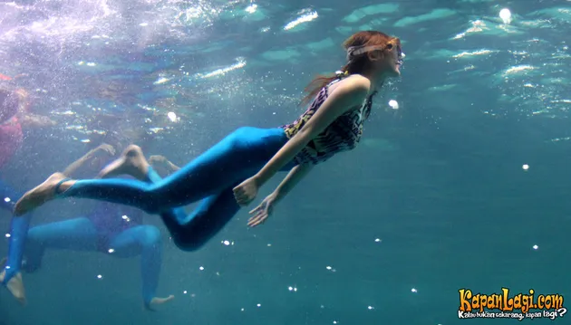 Kevin, Princess, Widy Vierra