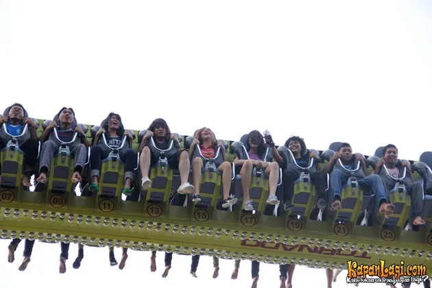 Kevin, Princess, Widy Vierra