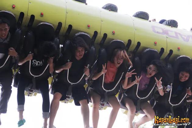 Kevin, Princess, Widy Vierra