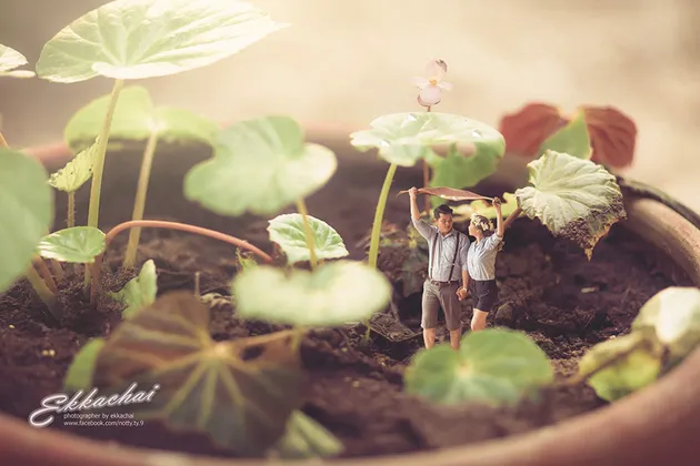 Prewedding