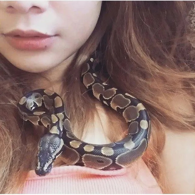 guru cantik, guru seksi, foto unik, foto guru cantik