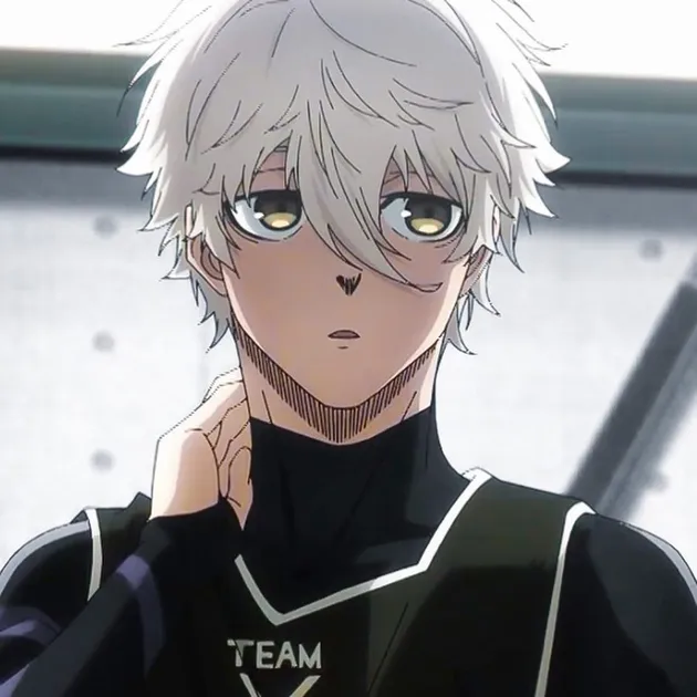nagi seishiro