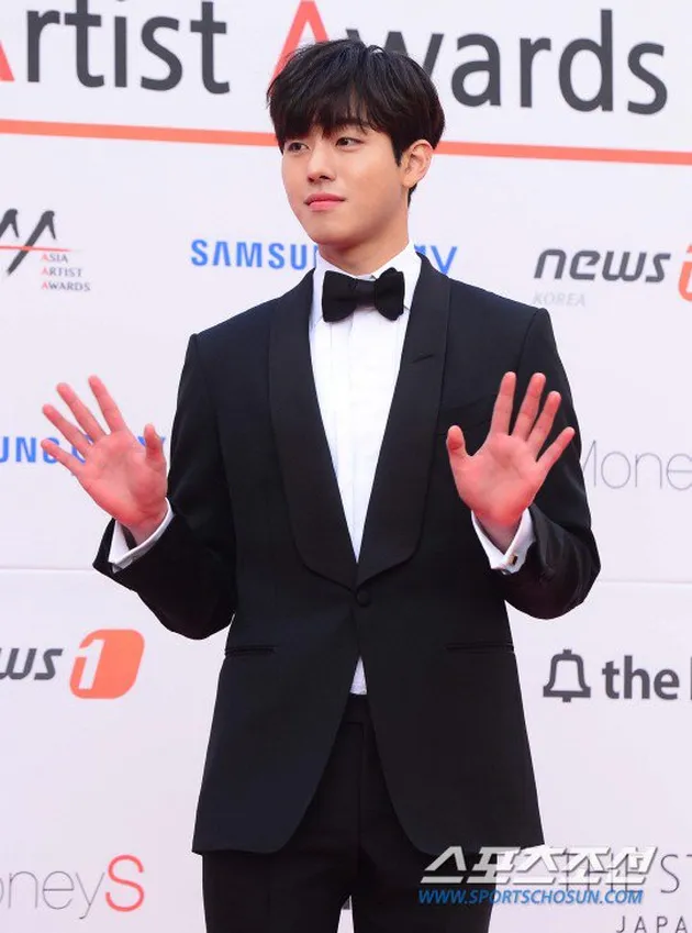 red carpet asia artist award 2017