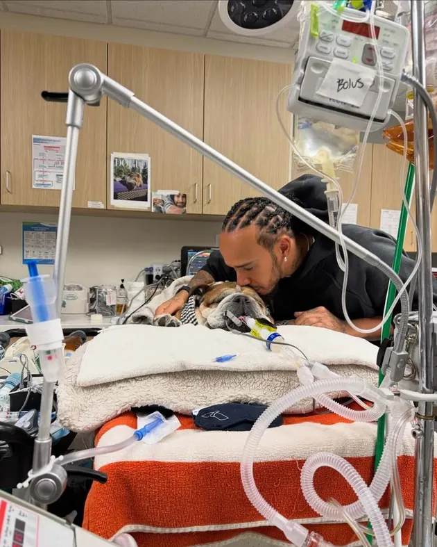 Lewis Hamilton Umumkan Kematian Anjingnya