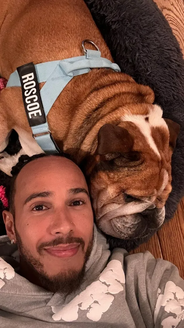 Lewis Hamilton Umumkan Kematian Anjingnya