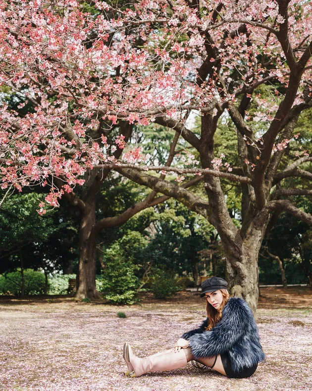 Liburan Momo Geisha