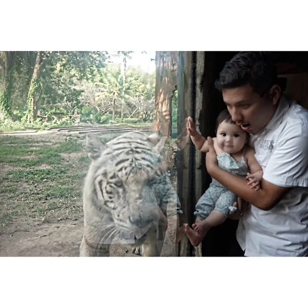 Baby Gempi