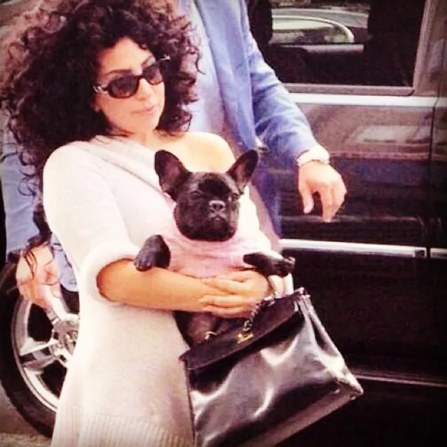 Lady Gaga