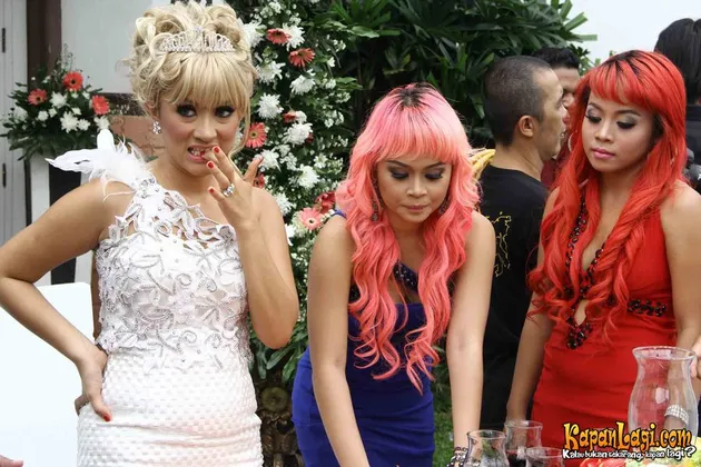 Lia Ladysta 3 Macan