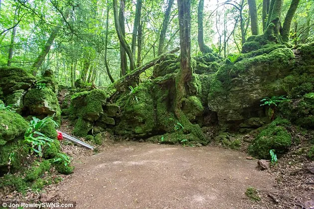 STAR WARS EPISODE VII