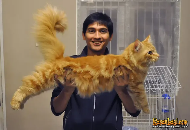 Lucky Hakim