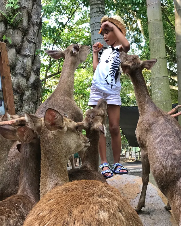 Liburan Keluarga Ernest