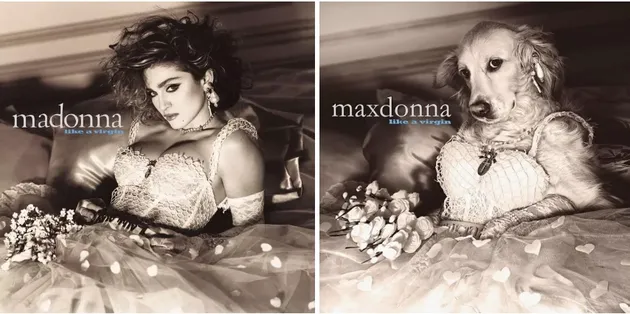 MAXDONNA