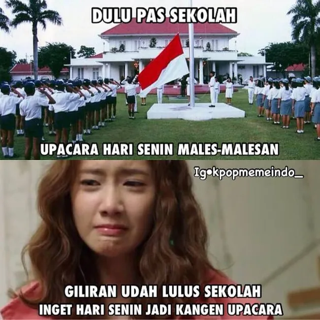 Meme K-Pop