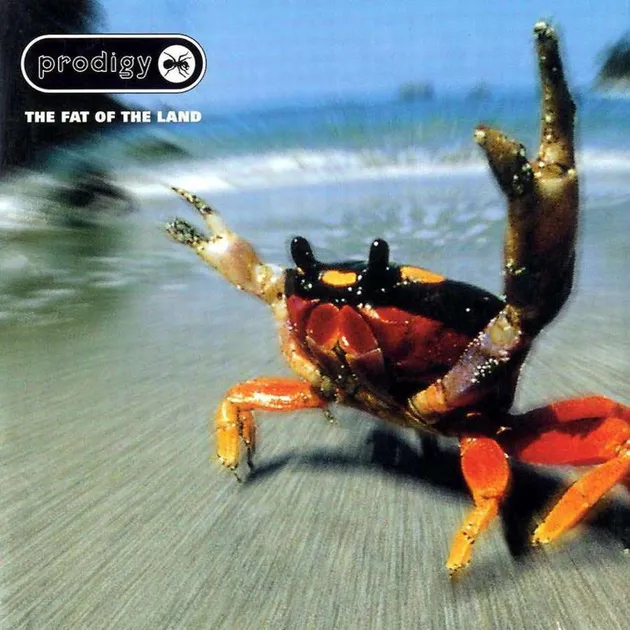 Album Musik