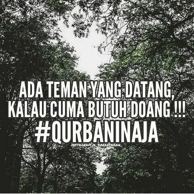 Meme #Qurbaninaja