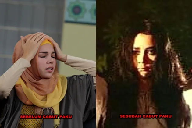 suzana, meme suzana, film suzana