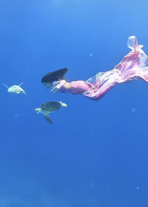 Transforming into a Sea Mermaid, Check Out Nanda Arsyinta's Mermaid Diving Photos in Gili Meno - Absolutely Unreal!