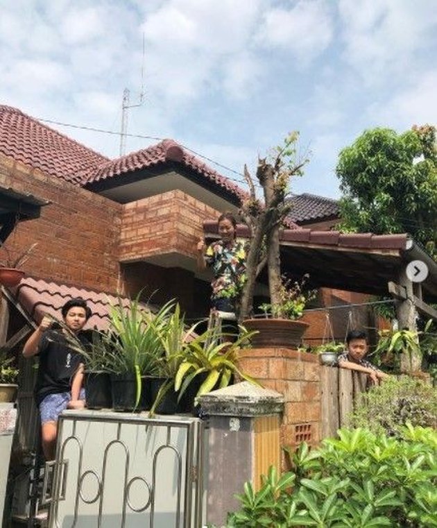 Own Two Residences, Peek at 10 Photos of Soimah's Luxurious Houses in Yogyakarta and Jakarta with Classic and Serene Nuances, Lots of Plant Collections to Create a Refreshing Atmosphere