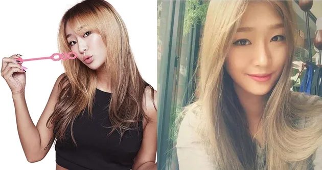 Saudara Selebriti Korea