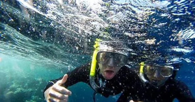 stefan william, natasha wilona