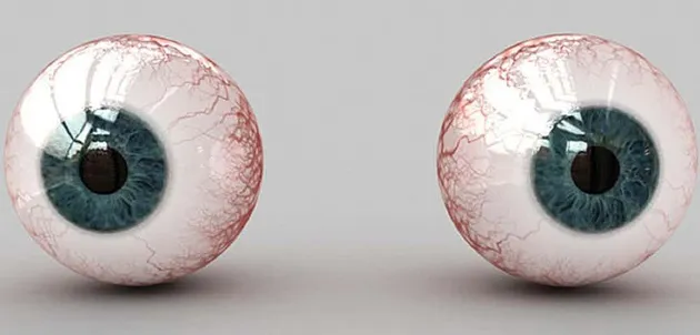 barang selundupan, barang aneh, barang selundupan paling aneh