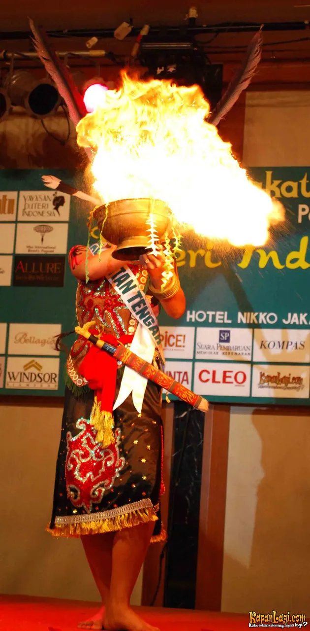 Puteri Indonesia 2009