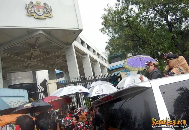 manohara odelia pinot